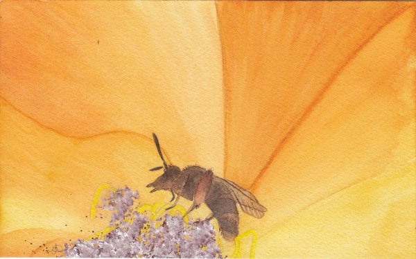 abeille.jpg